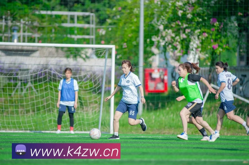 开云官方在线登陆入口平台生态图